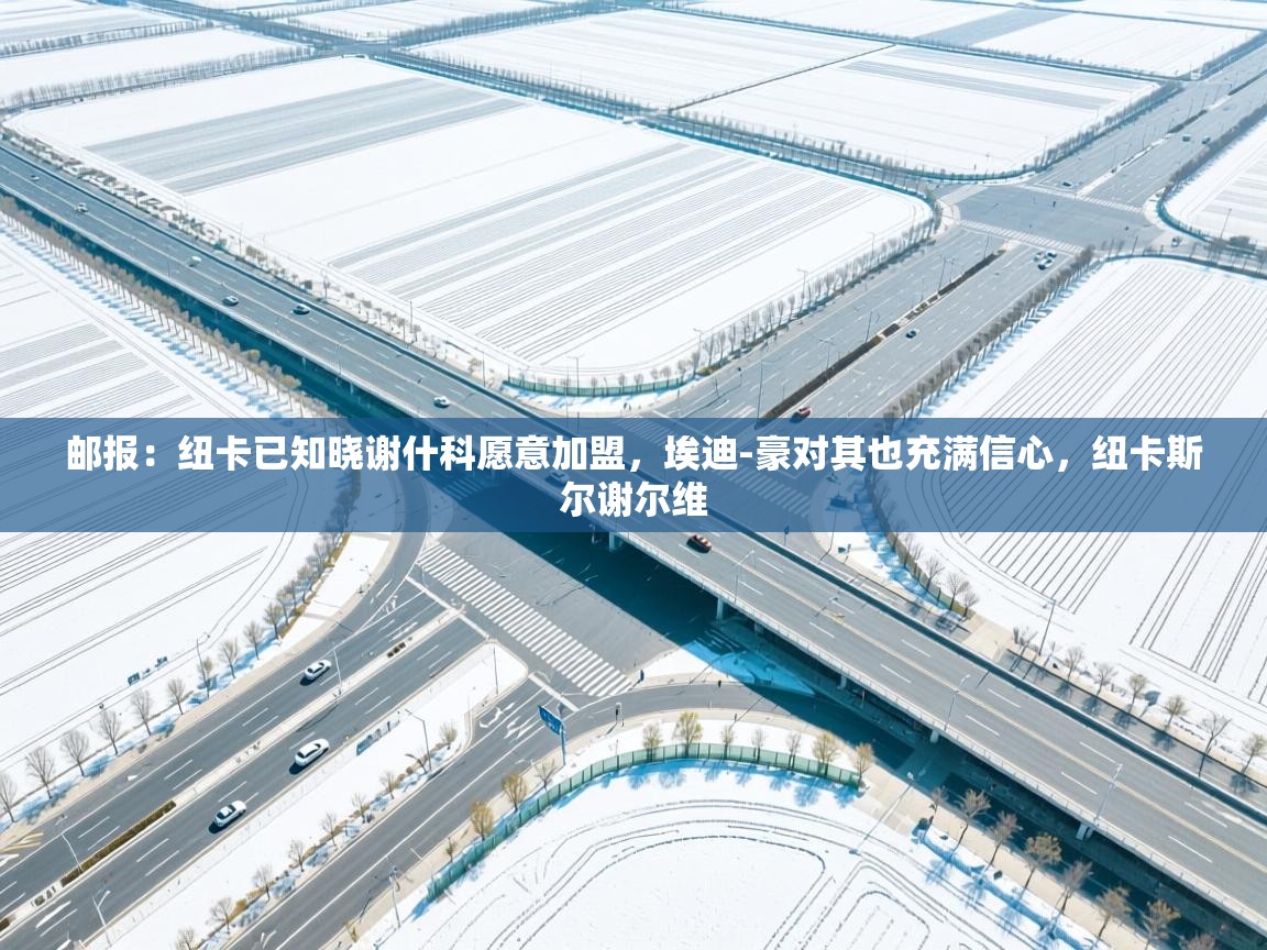 邮报：纽卡已知晓谢什科愿意加盟，埃迪-豪对其也充满信心，纽卡斯尔谢尔维  第1张