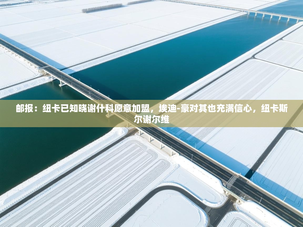 邮报：纽卡已知晓谢什科愿意加盟，埃迪-豪对其也充满信心，纽卡斯尔谢尔维  第2张