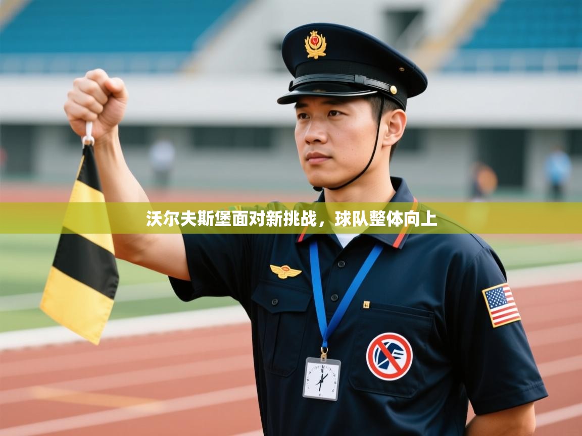 沃尔夫斯堡面对新挑战,球队整体向上 第1张